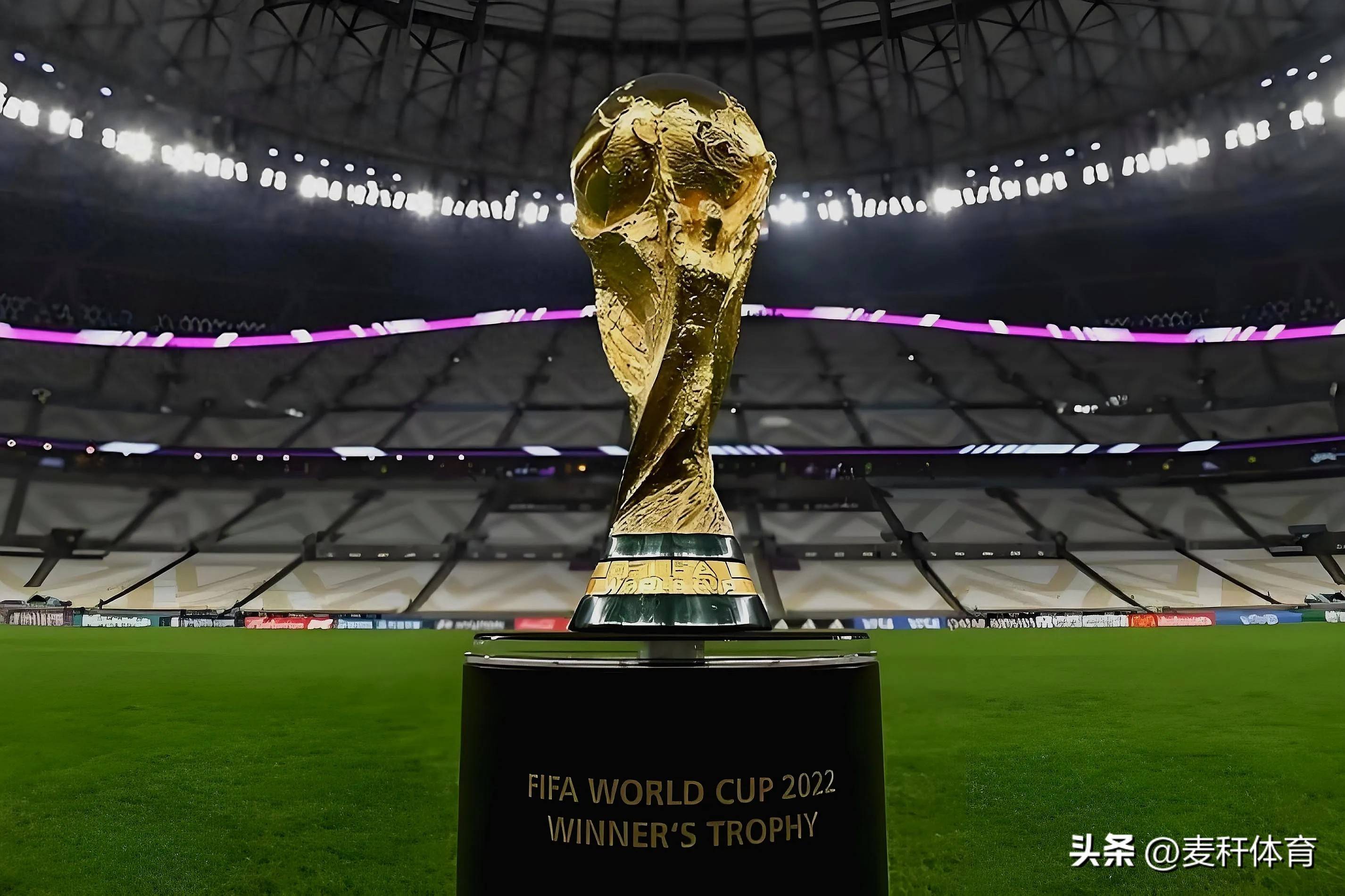 成为焦点所 成为焦点所